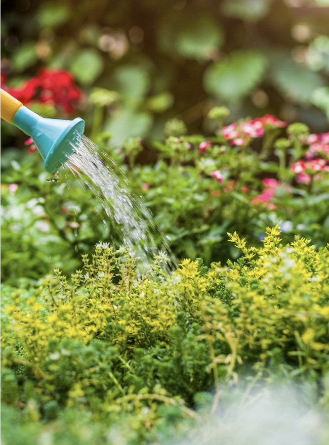 Nature to Nurture at moodhoian